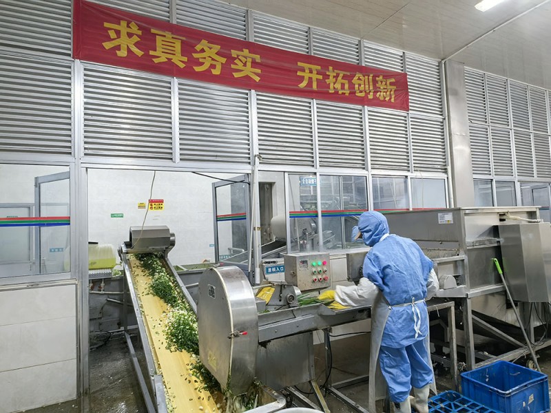 脱水葱圈系列供应